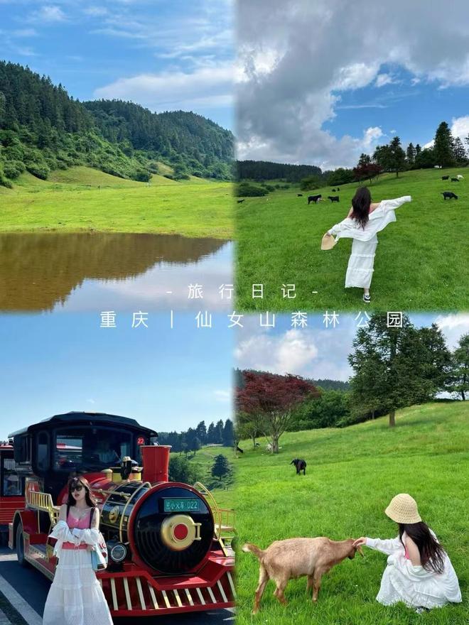 报名导游推荐最实惠的游玩价格分享诚心分享PG电子麻将胡了2模拟器重庆本地旅行团(图2)