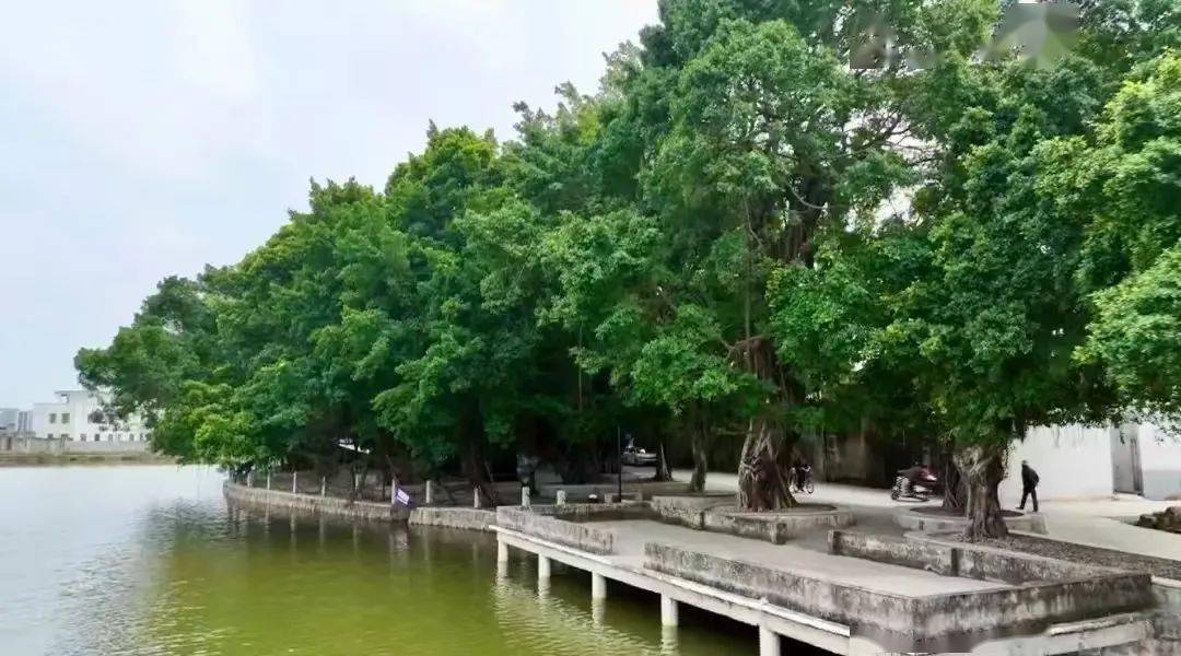 肉火锅看这座城市的服务智慧PG麻将胡了2试玩从汕头牛(图2)