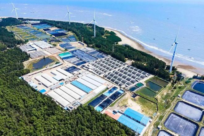 、未来还要降养殖户亏惨了！麻将胡了2游戏入口蛋价暴跌(图8)